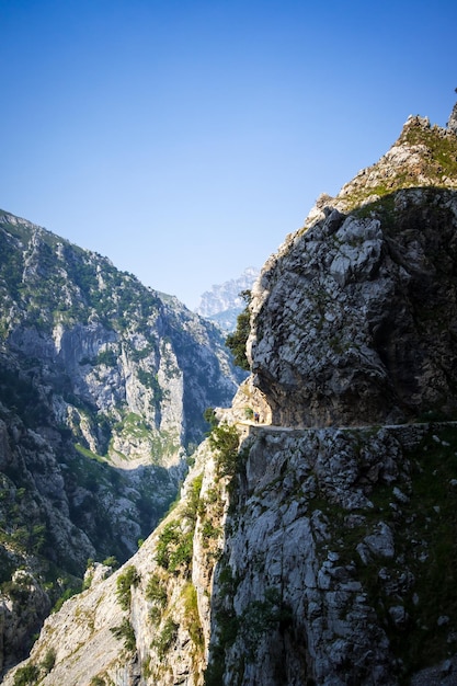 Cares trail ruta del Cares in Picos de Europa Asturias Spain