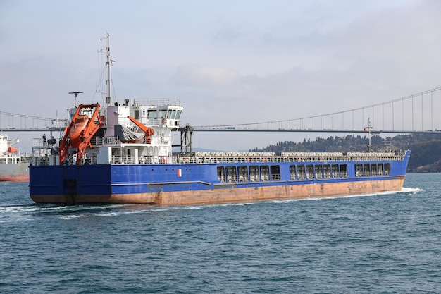 Cargo Ship in Sea