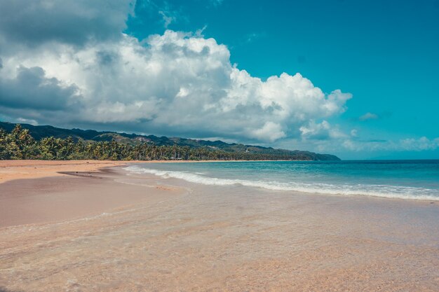 Photo caribbean bach with coconut house