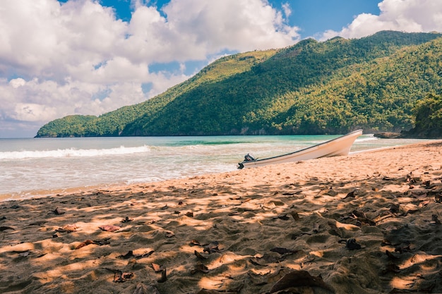 Spiaggia caraibica con palme e onde