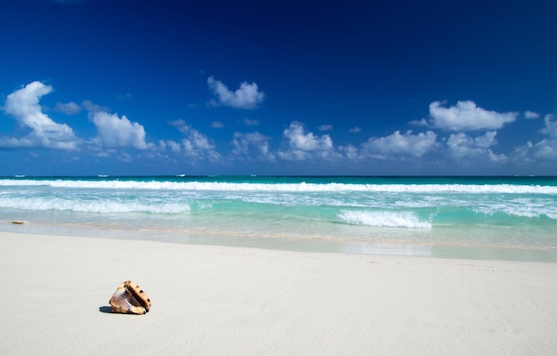 Foto spiaggia caraibica