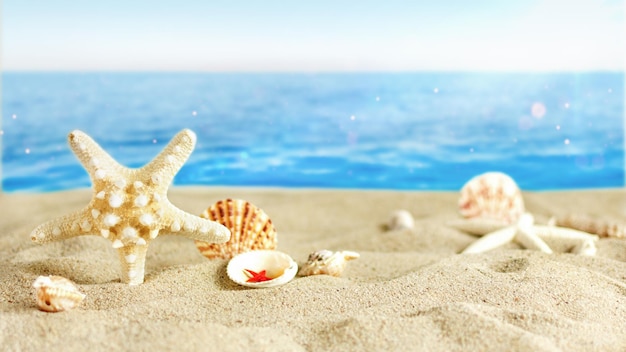 Caribbean golden Starfish and variety of seashells on sand beach over turquoise ocean