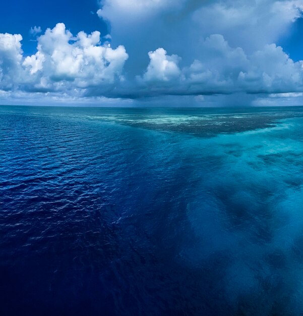 Mar dei caraibi, belize, vista del confine del buco blu - film scan