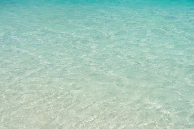 코스타 마야 멕시코의 카리브해 바다 또는 바다 맑은 날에 모래 위의 맑은 바닷물 자연의 아름다움 바다에서 여름 해변 휴가