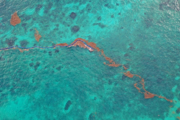 Caribbean sea covered by sargasso algae in Tulum