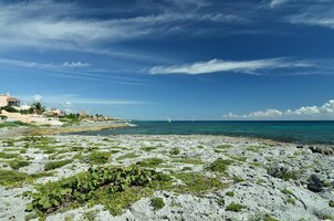 カリブ海の風景リビエラ マヤ メキシコのコーラル ビーチ海景
