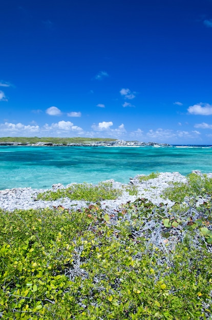 Caribbean sea and perfect sky