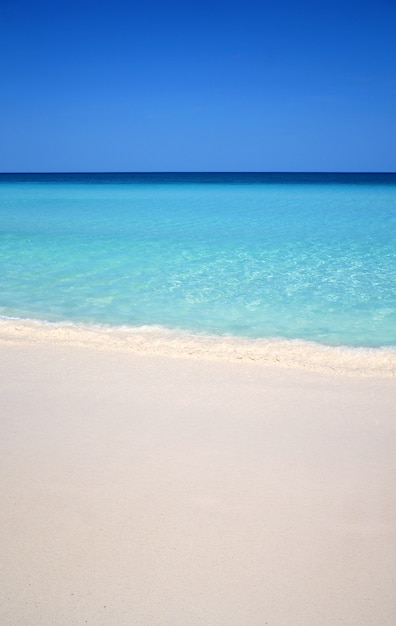 メキシコのカリブ海の白い砂浜