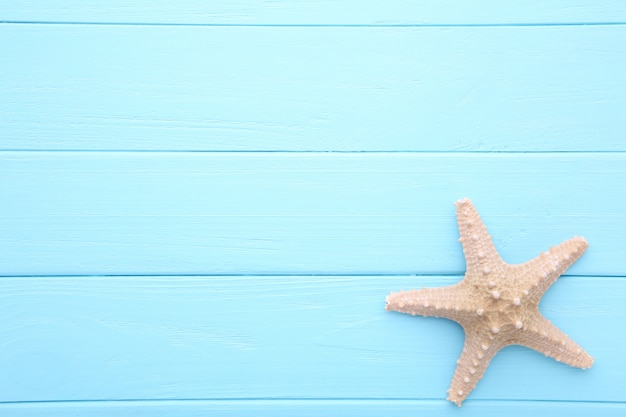 Caribbean starfish on blue wooden.Top view