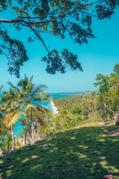 カリブ海の景色