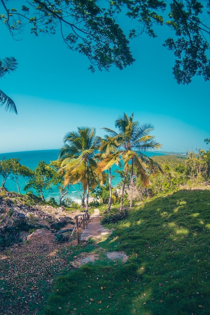 Foto la vista dei caraibi