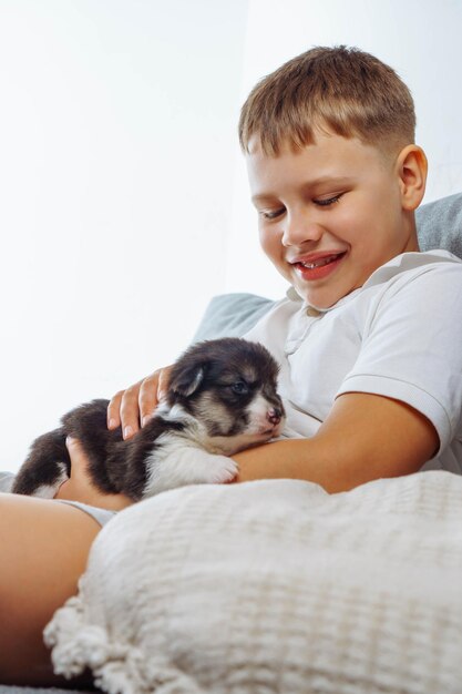 Caring for and caring for pets Charming Welsh corgi puppy who recently opened his eyes lies on lap of teenage boy