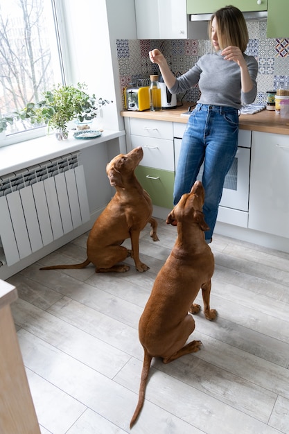 Prendersi cura del cane a casa donna di mezza età che gioca ad addestrare due educate vizsla a pelo duro in cucina