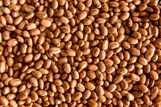 Carioca bean texture background.