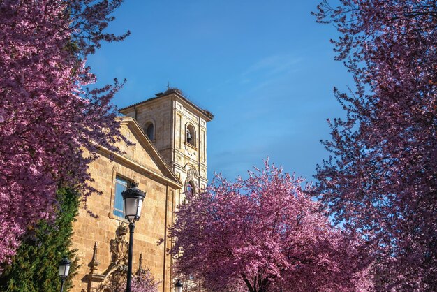 Photo carmen de abajo church salamanca spain