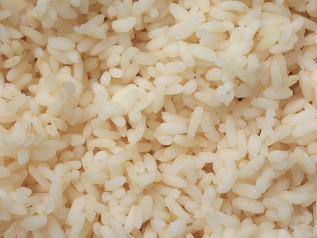 Carnaroli rice food