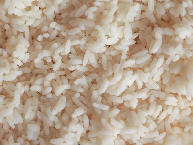 Carnaroli rice food