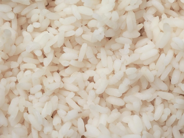 Carnaroli rice food