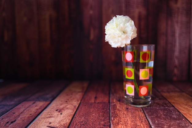 Photo carnation in container decoration