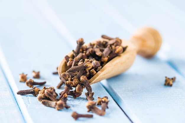 Carnation dried clove spice in scoop