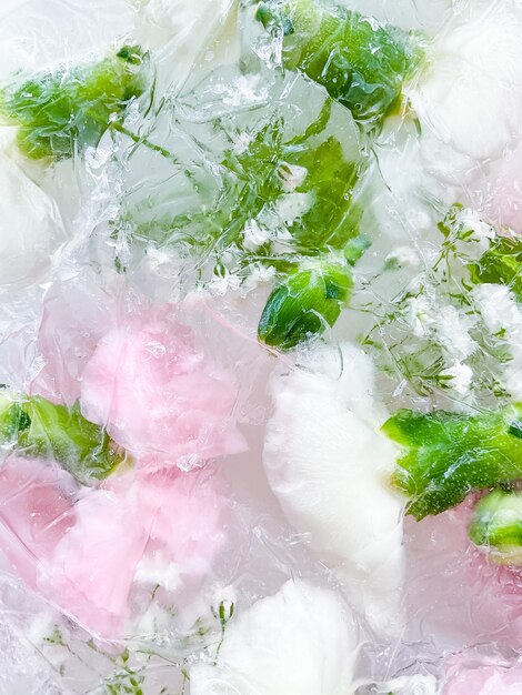 Foto fiori di garofano congelati sullo sfondo ghiacciato