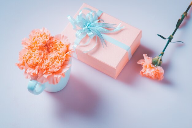 Carnation with gift box.  Mother Day concept, Sweet filter