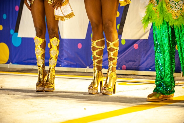 Carnaval in Brazilië op Passarela do Samba het grootste volksfeest ter wereld met veel kleur j