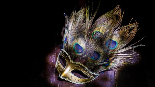 Carnaval masker met pauwenveren lichte borstel