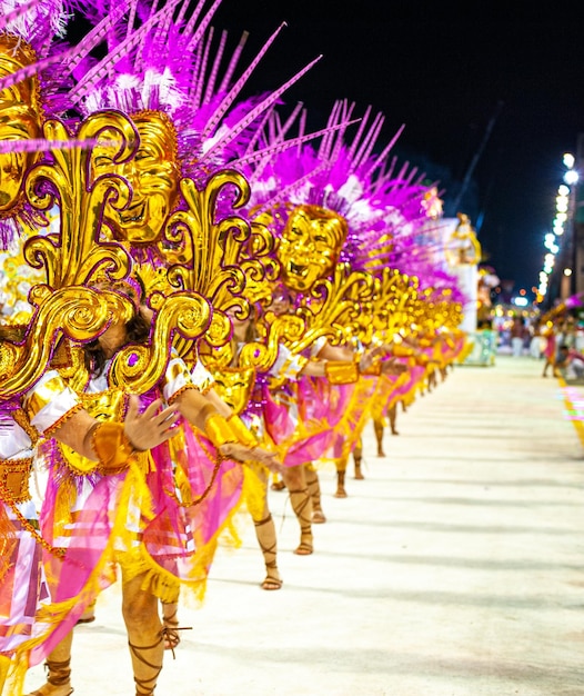 Passarela do Samba のブラジルのカーニバルは、色とりどりの世界で最も人気のあるパーティーです。