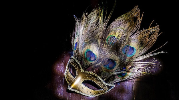 Carnival mask with peacock feathers light brush