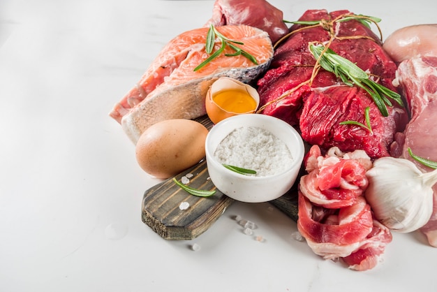 Carnivore protein diet background