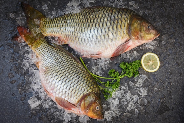 Carp fish, Fresh raw fish on ice for cooked food with parsley lemon and dark background, common carp freshwater fish market