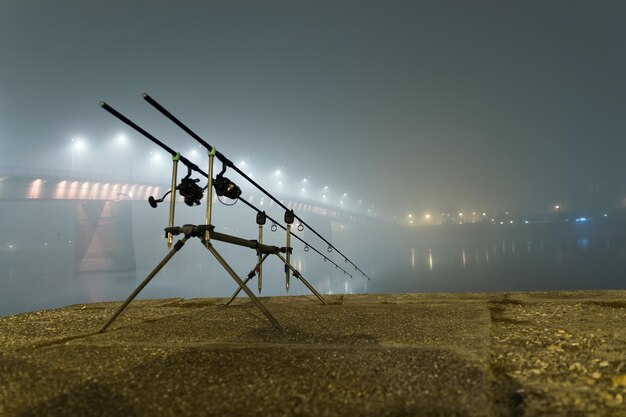 Premium Photo  Carp spinning reel angling rods in foggy night. urban  edition. night fishing, carp rods, city lights. foggy night.