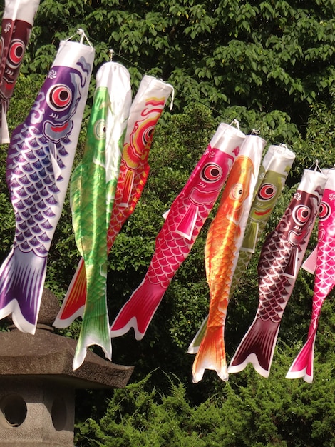 Foto il carp streamer è un simbolo del futuro dell'estate