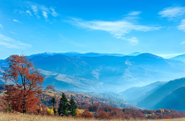 Carpathian autumn panorama