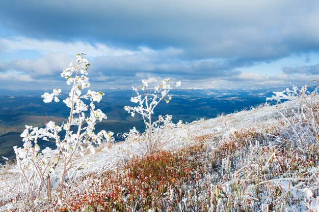 첫 겨울 눈이 내리는 카르파티아 산 보르가바 고원