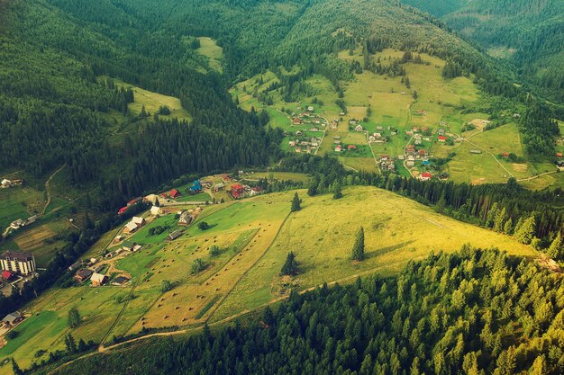 Carpathian mountain landscape