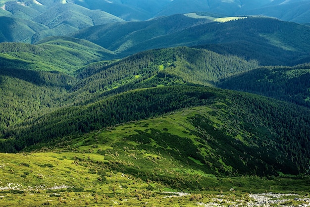 Carpathian mountain landscape