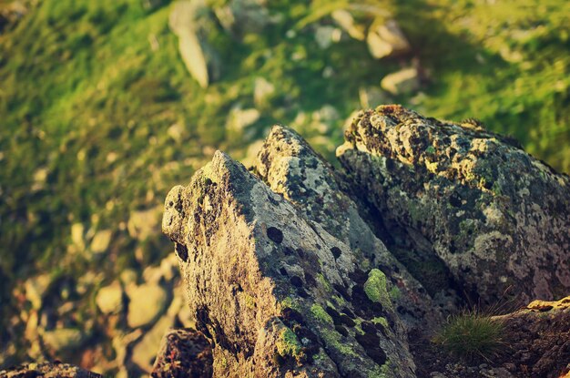 Carpathian mountain landscape