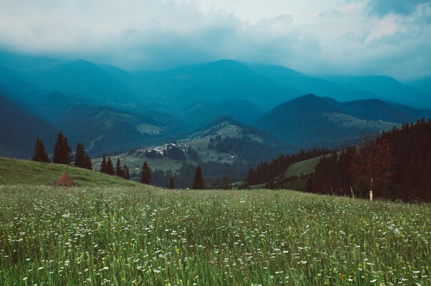 Carpathian mountain landscape