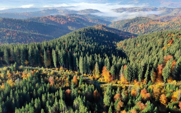 Carpathian mountain sunny landscape