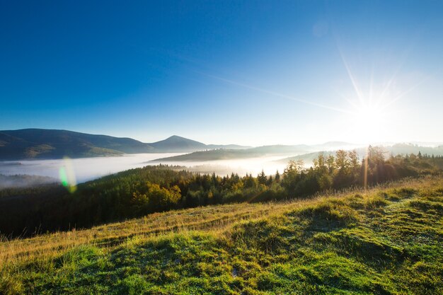 Photo carpathian mountain sunny landscape
