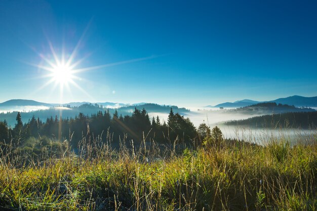 Photo carpathian mountain sunny landscape