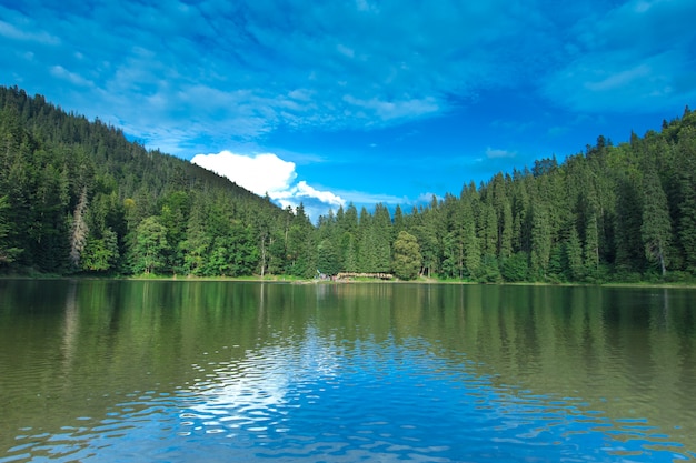 Photo carpathian mountain sunny landscape