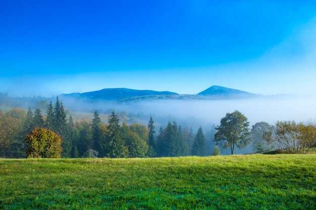 Carpathian mountain sunny landscape