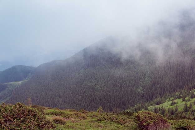 Montagne carpatiche nella nebbia