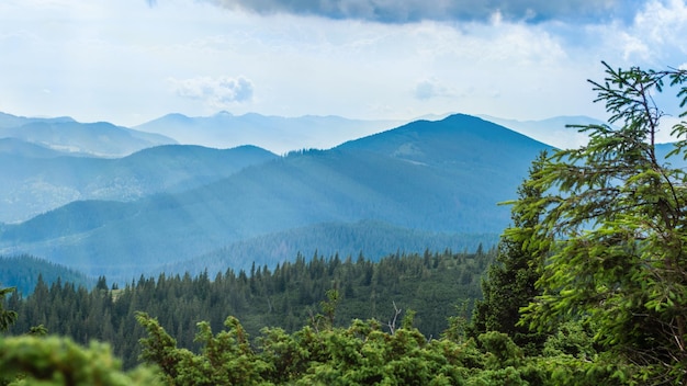 Carpathian Mountains Panorama of green hills in summer mountains Hazy green mountain forest under blue sky