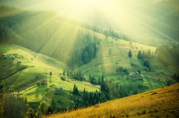 Carpathian mountains summer  landscape at sunset with green sunny  hills, amazing vintage retro hipster background