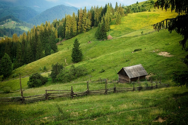 Paesaggio estivo delle montagne dei carpazi con verdi colline e casa in legno, sfondo incredibile hipster vintage