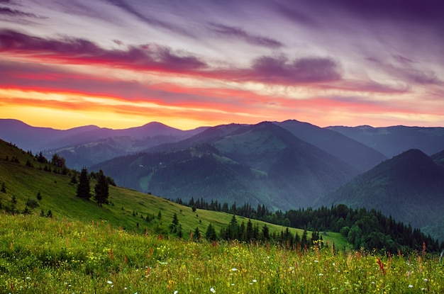 Paesaggio al tramonto estivo delle montagne dei carpazi con cielo drammatico e montagne blu